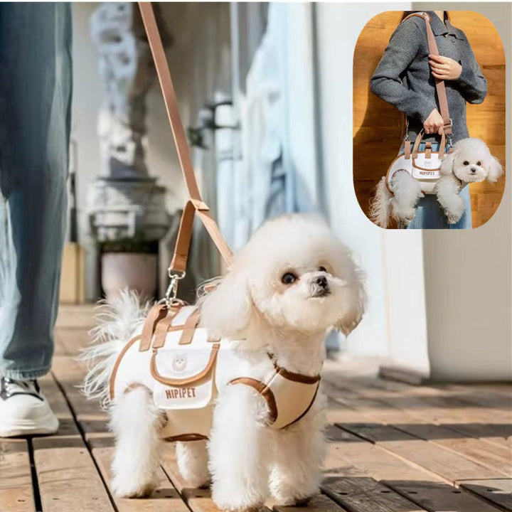 Pet Travel Gear