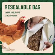 Hatortempt 5lb Dried Mealworms for Chickens & Wild Birds, Chicken Feed | Non-GMO - High-Protein Chicken Food for Laying Hens - Meal Worms Fed Organic Diet - Hand Inspected Treats - Duck Food