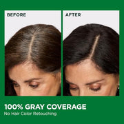 Garnier Nutrisse Ultra Crème Hair Color, 10 Black, 1 Count | Permanent Hair Dye with 100% Gray Coverage, 5-Fruit Oil Nourishing System, Rich, Vibrant Color, Vegan & Cruelty Free