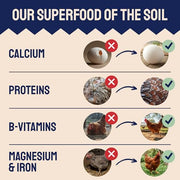 Hatortempt 10lb Black Soldier Fly Larvae for Chickens, Calci Chicken Treats | 80x More Calcium Than Mealworms - Black Soldier Fly Larvae for Chickens - Non-GMO - Fed On An Organic Diet