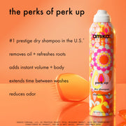 Amika perk up talc-free dry shampoo