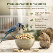 Forest Haven Premium Raw Peanuts for Squirrels – 10LB Bulk Squirrel Food – Unsalted Peanuts in Shell for Birds, Deer & Wildlife – Bonus Binoculars Included - USA Grown
