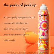 Amika perk up talc-free dry shampoo