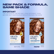 Clairol Nice'n Easy Permanent Hair Dye, 6R Light Auburn | 1 Pack | Zero Ammonia, PPD‑Free, 100% Gray Coverage with Bonding System | Pack of 1