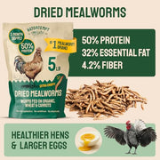 Hatortempt 5lb Dried Mealworms for Chickens & Wild Birds, Chicken Feed | Non-GMO - High-Protein Chicken Food for Laying Hens - Meal Worms Fed Organic Diet - Hand Inspected Treats - Duck Food