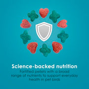 Kaytee Forti-Diet Pro Health Nourish+Protect Conure & Lovebird Food, 4 lb | Balanced digestion. Conure food with prebiotics and probiotics. Parrot food, antioxidants, omega-3s