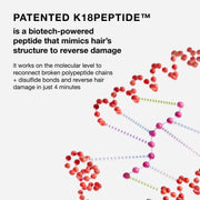 K18 Leave-In Molecular Repair Hair Mask | Peptide Hair Treatment Mask Repairs Bleach, Color, Chemical Services, Heat Damage In 4 Minutes