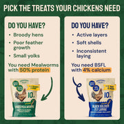 Hatortempt 5lb Dried Mealworms for Chickens & Wild Birds, Chicken Feed | Non-GMO - High-Protein Chicken Food for Laying Hens - Meal Worms Fed Organic Diet - Hand Inspected Treats - Duck Food