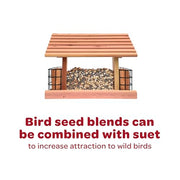Kaytee All American Wild Bird Food Seed Blend for Cardinals, Blue Jays, Finches & Other Outdoor Wild Birds, 5 Pounds
