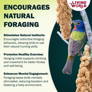 Living World Millet Spray for Birds - 3.5 oz Bag | 100% Natural, Wild-Harvested, Premium Treat - Spray Millet for Budgies, Canaries, Finches, Cockatiels & Other Pet Birds