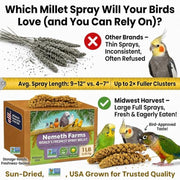 Nemeth Farms Spray Millet - Edible Tops Only, Non-GMO and Sun-Dried - 1 lb for Parakeets, Canaries and Finches