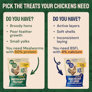 Hatortempt 5lb Dried Mealworms for Chickens & Wild Birds, Chicken Feed | Non-GMO - High-Protein Chicken Food for Laying Hens - Meal Worms Fed Organic Diet - Hand Inspected Treats - Duck Food