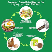 Dried Black Soldier Fly Larvae Treats for Chickens Wild Birds Ducks 10LB | More Calcium Than Mealworms High-Protein Non-GMO Pure Natural