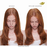 Dove Dry Shampoo Spray, Hair Volume & Fullness, Absorbs Oil, 5 oz (2-Pack) | Refreshes Hair Without Washing, Absorbs Excess Oil, Adds Volume and Fullness, Convenient Two-Pack Dry Shampoo