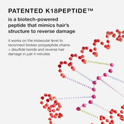 K18 Leave-In Molecular Repair Hair Mask | Peptide Hair Treatment Mask Repairs Bleach, Color, Chemical Services, Heat Damage In 4 Minutes