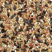 Wild Harvest Daily Blend Bird Food for Cockatiels, 2 lbs. | For Cockatiels, Lovebirds & Small Hookbills, Quality Blend Made With Millet, Select Grains, Sunflower Seeds & More