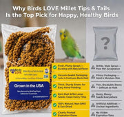 Birds LOVE® Millet Tips & Tails for Birds – Premium Spray Millet Treat, Non-GMO, USA Grown – Natural Bird Food for Parakeets, Cockatiels, Budgies, Lovebirds, Finches, Canaries & Parrots – 1 lb