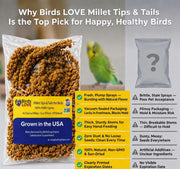 Birds LOVE® Millet Tips & Tails for Birds – Premium Spray Millet Treat, Non-GMO, USA Grown – Natural Bird Food for Parakeets, Cockatiels, Budgies, Lovebirds, Finches, Canaries & Parrots – 1 lb