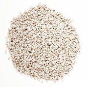 Wagner's 57075 Safflower Seed Wild Bird Food, 5 Pound (Pack of 1)
