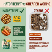 Hatortempt 5lb Dried Mealworms for Chickens & Wild Birds, Chicken Feed | Non-GMO - High-Protein Chicken Food for Laying Hens - Meal Worms Fed Organic Diet - Hand Inspected Treats - Duck Food