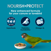 Kaytee Forti-Diet Pro Health Nourish+Protect Conure & Lovebird Food, 4 lb | Balanced digestion. Conure food with prebiotics and probiotics. Parrot food, antioxidants, omega-3s