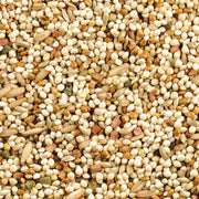 Wild Harvest Daily Blend Bird Food For Parakeet, Canary & Finch,10 lbs | Quality Seed Blend For Small Birds, With Orange Essence For Extra Flavor, Re-Sealable Bag For Freshness