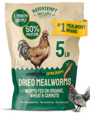 Hatortempt 5lb Dried Mealworms for Chickens & Wild Birds, Chicken Feed | Non-GMO - High-Protein Chicken Food for Laying Hens - Meal Worms Fed Organic Diet - Hand Inspected Treats - Duck Food