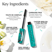 Thrive Causemetics Liquid Lash Extensions Mascara, Rich Black Shade | Tubing Formula Lengthens, Volumizes & Curls, Smudge Proof, Washable, No Clumping or Flaking, Vegan, Cruelty Free, Brynn Shade