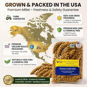 Birds LOVE® Millet Tips & Tails for Birds – Premium Spray Millet Treat, Non-GMO, USA Grown – Natural Bird Food for Parakeets, Cockatiels, Budgies, Lovebirds, Finches, Canaries & Parrots – 1 lb