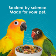 Kaytee Forti-Diet Pro Health Nourish+Protect Conure & Lovebird Food, 4 lb | Balanced digestion. Conure food with prebiotics and probiotics. Parrot food, antioxidants, omega-3s