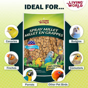 Living World Millet Spray for Birds - 3.5 oz Bag | 100% Natural, Wild-Harvested, Premium Treat - Spray Millet for Budgies, Canaries, Finches, Cockatiels & Other Pet Birds