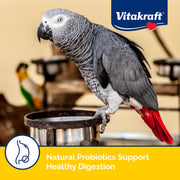 Vitakraft Menu Parrot Food 5 lb. | Nutrient-Rich Seed Blend, Natural Foraging Mix, Daily Diet Formula, Resealable Bag, 5 lb Pack