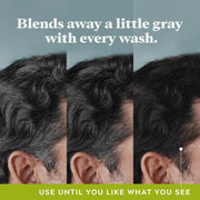 Just for Men Control GX Gray Reducing Shampoo, Keratin, 4 Fl Oz (1 Pack)