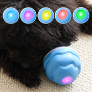 🐾 50% OFF NOW! 🎾 Interactive Electronic Pet Toy Ball – Auto-Motion, Chew-Resistant & Calming for Cats/Dogs, Soothing Boredom 🔋✨📦