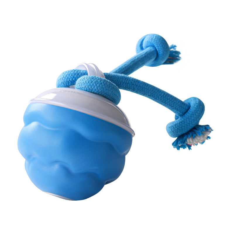 🐾 50% OFF NOW! 🎾 Interactive Electronic Pet Toy Ball – Auto-Motion, Chew-Resistant & Calming for Cats/Dogs, Soothing Boredom 🔋✨📦